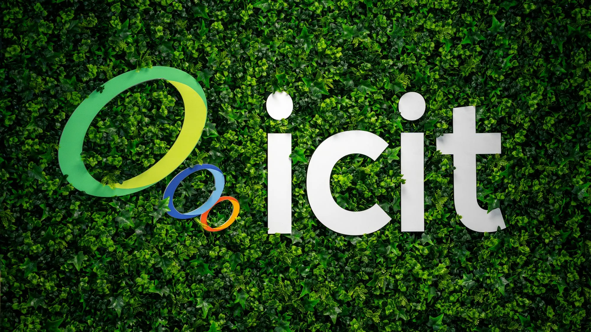 ICIT kantoor met logo wand in Franeker